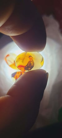 يمني • محابس • ثمينة