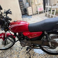شايننج • اوراق • ٢٠٢٣