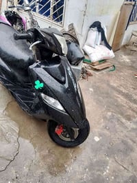 ثعلب بلادي.نوزل.اريد مراوي 07700477748