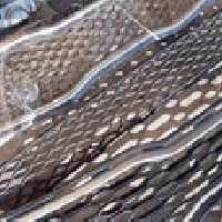 اوبتيما • سيارة • واتساب