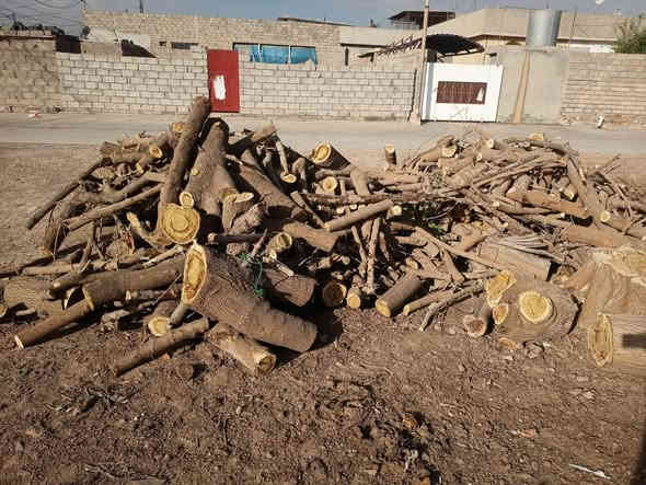 سلام عليكم خشب للبيع 
اتصل ***********
