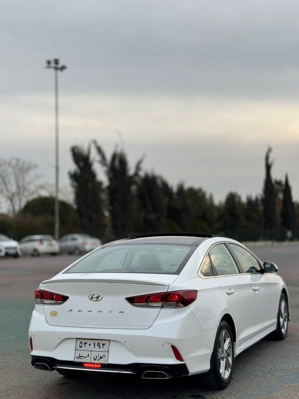 هيؤندا سؤناتا ٢٠١٨ ( خـليـجـي )
وكالت شريكه اربيل
فول مواصفات 
ماشى ٣٨كم
فوول مواصفات   
بانوراما - كشنات جلد-وايار ليس -مرايات شفت -گير شفت-....
سيارة مكفوله بدون سبوغ
كير و محرك بشرط 
كهربايي كلشى بشرت
 محرك ٢٤٠٠كبير
سياره رقم اربيل - فحص هةزةجديد 
سياره بسمى تحويل و وكاله نفس يوم مباشر
 كورك واتساب   *********** أربيل, العراق
