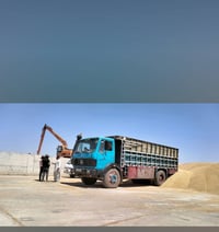 ١٩٧٥ • زمار • محرك شرط