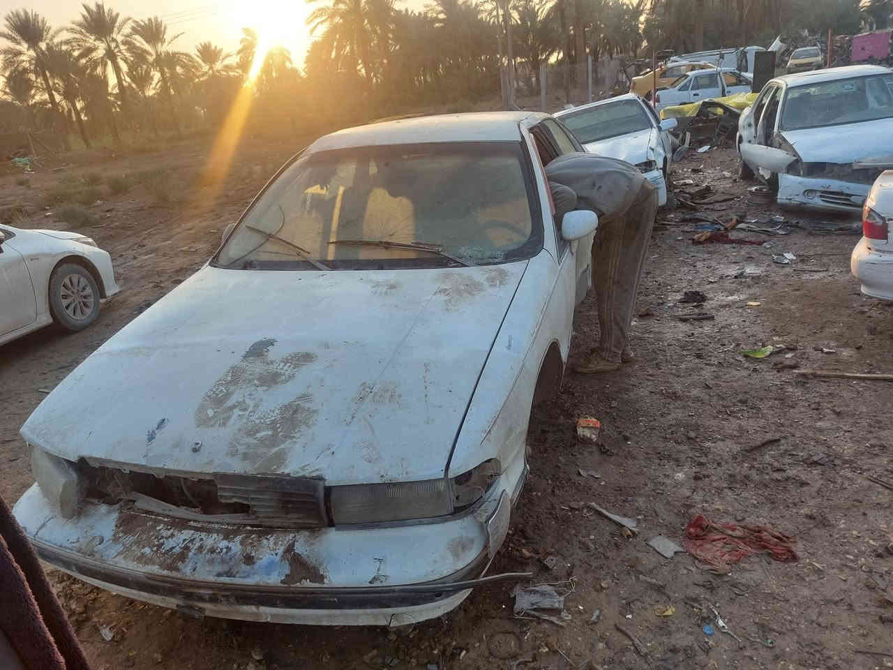 تفصيخ دولفين العنوان بابل مشروع المسيب اتصال فقط ***********  ***********
