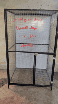 السلام عليكم متوفر 3 اقفاص للبيع بسعر مناسب
قفص بلابل حب 
قفص غندورة او ببغاء
قفص خانات طيور
العنوان بعقوبة
يوجود توصيل ديالى فقط 
***********
الي يحب راسلني او يتصل بل خدمة
