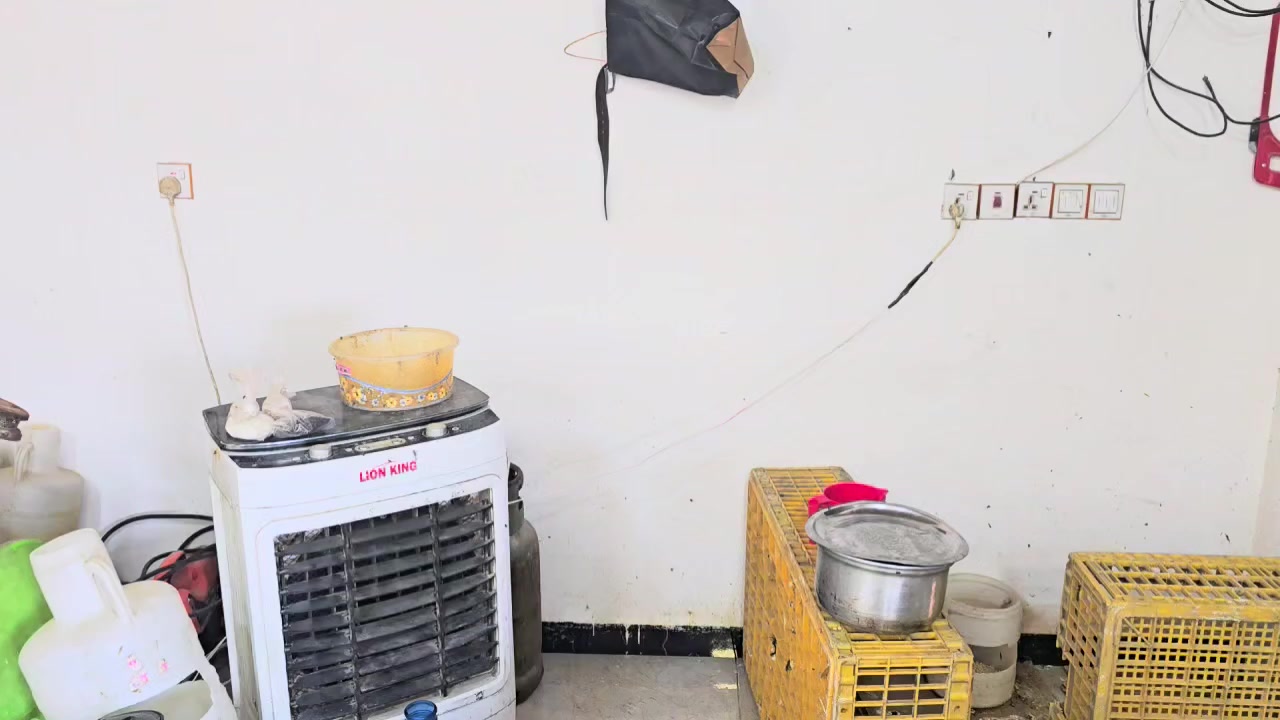 غراض محل لبيع الأسماك والدجاج للبيع 
***********
