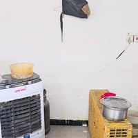 غراض محل • أسماك • دجاج