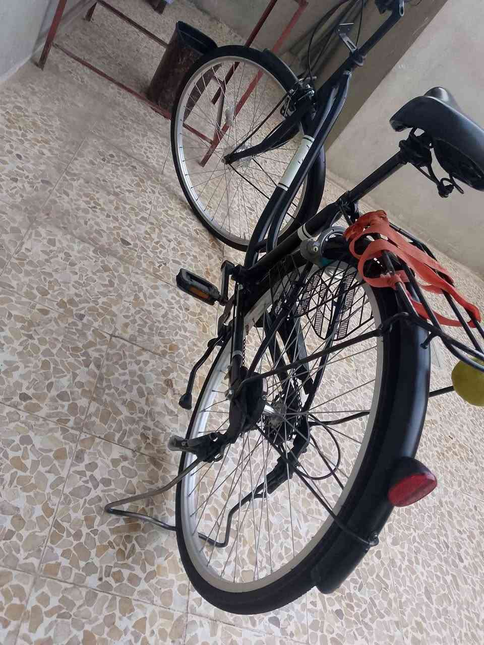 سلام عليكم بايسكل عبد الحليم ججم 26السعر 90مكان حي شيماء


**إذا كنت صاحب هذا الإعلان وتريد حذفه لأي سبب، رجاءا أرسل رسالة إلى الدعم الفني**