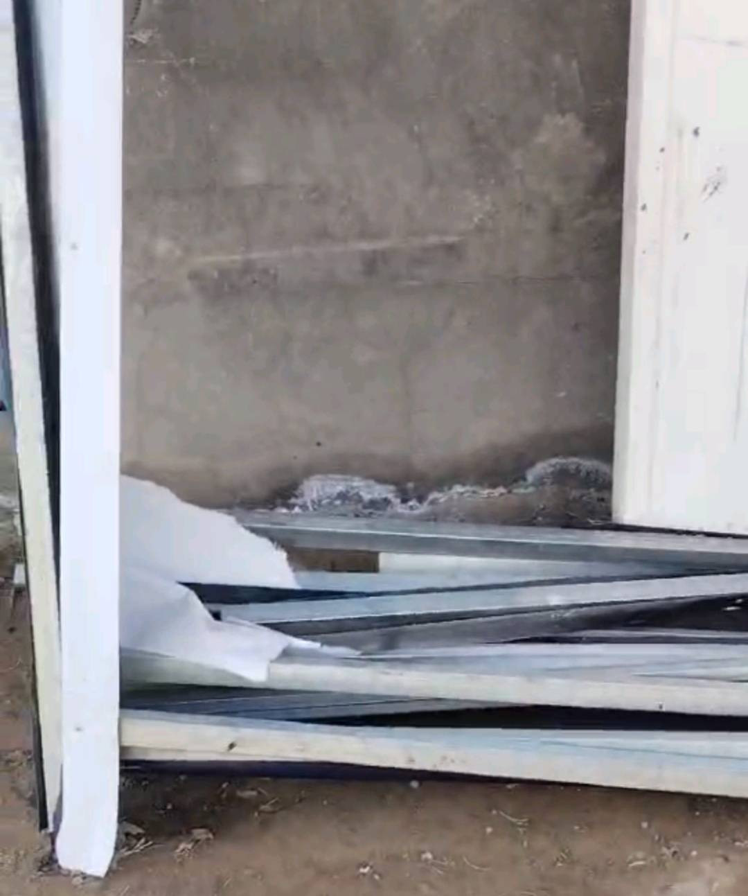 للبيع الاستفسار خاص المكان ابو غريب 

📏 
#للبيع_بالعراق
#عروض_بغداد
#بيع_وشراء_عراق


**إذا كنت صاحب هذا الإعلان وتريد حذفه لأي سبب، رجاءا أرسل رسالة إلى الدعم الفني**