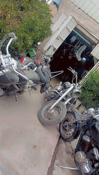 تفصيخ • هوندا • ستد شادو