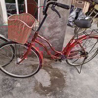 باسكل • حجمه ٢٦ • بلدروز