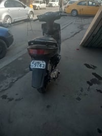 فحل كوري • صالحيه • ٤٥٠