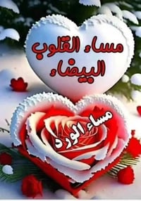 البراكيه خلف سيد الوصيين • 150م • تبديل بسيارة