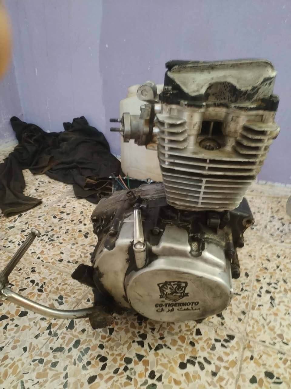 ب 40 وبيها مجال مستعجل علبيع شراي  خاص


**إذا كنت صاحب هذا الإعلان وتريد حذفه لأي سبب، رجاءا أرسل رسالة إلى الدعم الفني**