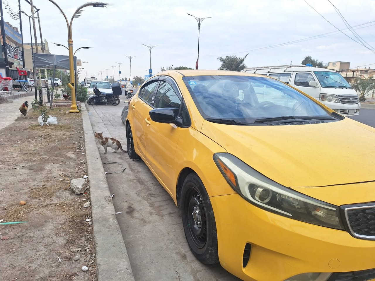 السلام عليكم                                                                             

كيا فورتي 2018 للبيع 

السيارة وارد أمريكي بيها الباب الورا السايق مبدل وصور الحادث موجودة بالمنشور  
 
محرك وگير مكفولات وتخم تاير وصدر  جديدات 
رقم بغداد تحويل ثاني يوم

وعليهة منظومة زنون ناصي عالي  وشاشة اندرويد سيارة كاملة مكملة مابيهة اي نواقص ومواصفات الفورتي المعروفة نظام قيادة سبورت وتحكمات ستيرن وشاشة اعطال وغيرها 

سعر السيارة : 115 وبيها مجال للشراي 

رقم صاحب السيارة : ***********
