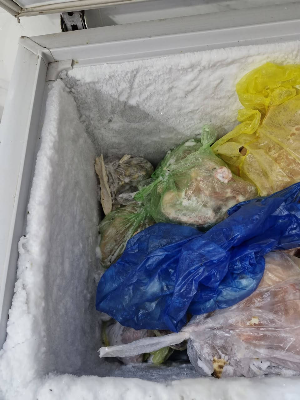 مكلف 
ثلاجه كونكورد الاصلي 22 قدم الحجم الكبير علفحص سعرهه 300 وبيهه مجال
مجمده كونكورد الاصلي نزيفه جدا 12 قدم حجم كبير فقط الباب ميسد لو تعيار لو لاستيكه سعرهه 250 وبيهه مجال  
عل فحص ثنينهن وهذا ثلج مالتهن.
***********
