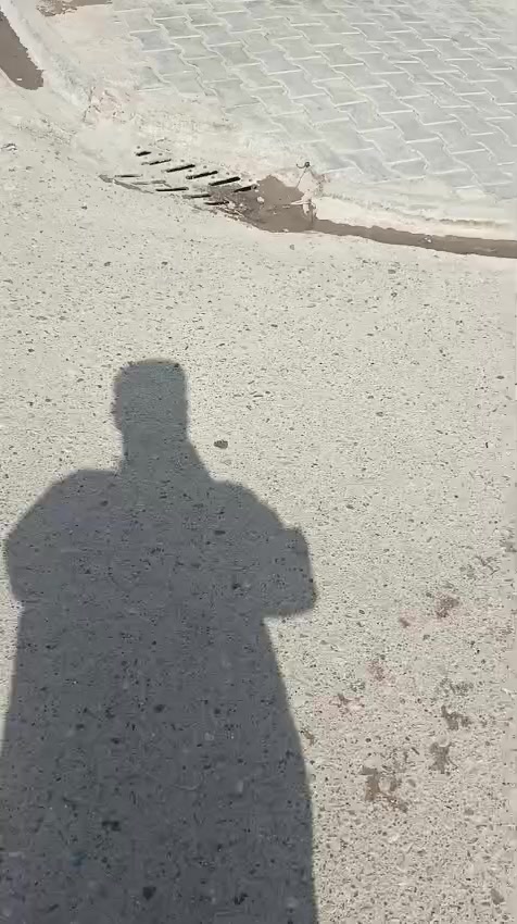 السلام عليكم كيا حمل موديل 2008 رقم واسط تحويل مباشر مقفوله كفاله عامه من الدعاميه للدعاميه ماكينه 3000 بيها بخار سعر 85 بيها مجال قليل مكاني بغداد حسينيه المعامل *********** اني مكلف بل نشر
