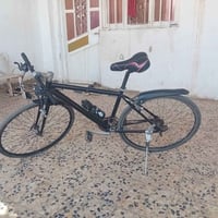 باسكل سباق ياباني  ٣ نمر كدام ٧ ورة السعر 150 قفل  للتواصل 07732730708...