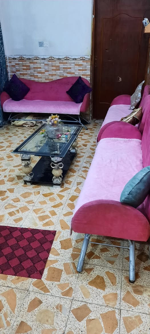 البيع تخم اصلي أوربي عنوان ميسان عماره اتصل واتساب موجود بالخدمة 《***********》 سعر مناسب  بعده جديد قوي نوعيه جيده عمارة, ميسان
