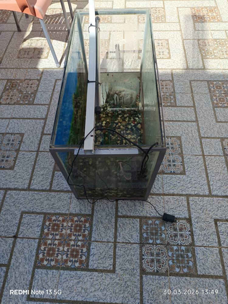 حوض سمك كبير مع اطار من حديد طول 80 سنتيمتر و ارتفاع 60 سنتيمتر مع ملحقاها ضوء وهيتر واحجار شتلات سعر 50 الف كركوك كركوك, العراق


**إذا كنت صاحب هذا الإعلان وتريد حذفه لأي سبب، رجاءا أرسل رسالة إلى الدعم الفني**