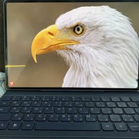 هونر ماجك باد 2 نظافه جدا عااليه 99‎%‎  شاشه والألعاب 120 فريم  ذاكرة ...