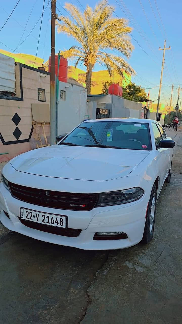 🧿عـــلـئ بــــركـــة الـــلـــه🧿

🫡🫡الــمــصـداقــية ســـر الـــنجـــاح🫡🫡
عاجل عاجل عاجل 
الاصدار الاخير 🪬
🛞نــوع الــمـركـبة:- دوج جارجر - SXT امريكي  
🪙الـــــمــوديــــل:-2023 لإصدار الاخير 
⚙️حــجـم الـمـحرك:-3.600 
💌الـــــــوحـــــــة:-أربيل الدولي تحويل مباشر

 سياره جديده بمعنا الكلمه 

          💎💎الـــــــمــــواصــــفــــات💎💎

♦️شاشة كبيرة 
♦️كامرة خلفية
♦️فتحات سقف
♦️بصمة تشغيل 
♦️بصمة أبواب
♦️تشغيل عن بعد
♦️تحكم أستيرن
♦️لد نهاري 
♦️كشن الأمامي كهربائي
♦️ تدفئة كشنات 
♦️رادرات جوانب
♦️رادار خلفي للتوقف الذاتي
♦️ويل كب 
♦️نظام ترحيب عند الاقتراب 
♦️ويل كب كروم 
♦️كشنات حضن 
♦️تدفئه كشنات
لايت زنون
📞——————————————————-📞

📩للاستفسار__والتواصل :- عــلـى الارقام الموجودة

أثـــيــــــر :-***********📲

📍📍📍
العنوان:بابل مركز المدينه
