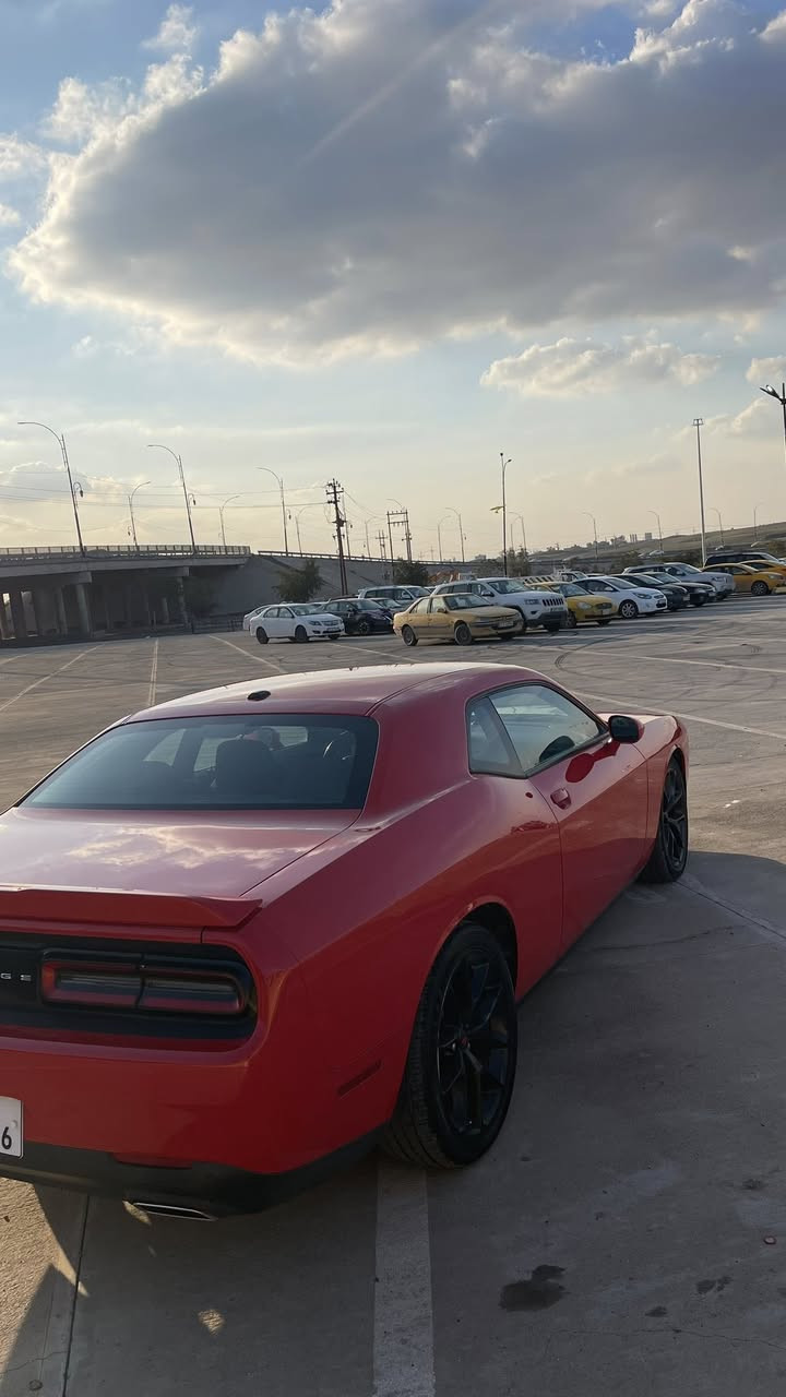 جالنجر جيتي GT 2022🔥
لون مميز 
ماشية 48الف ميل 
رقم اربيل بسمي هزة وسنوية جديد 
_______________
المواصفات :
كاميرا و حساسات خلفية 
كشن كهرباء 
شفتات تحكمات ستيرن 
شاشة وسط كاربلي 
بصمة ابواب 
تشغيل عن بعد

حادث السيارة بس بنيد مصبوغ وشبر تعديل بارد بجاملغ سايق 
صدر السيارة و خلفي جديد 
تخم تاير جديد اصلي 
كير محرك كهربايات كلها بشرط

مكاني كركوك 
للسعر  ***********
