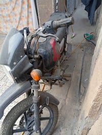 بوكسر • مديل 21 • لا أوراق