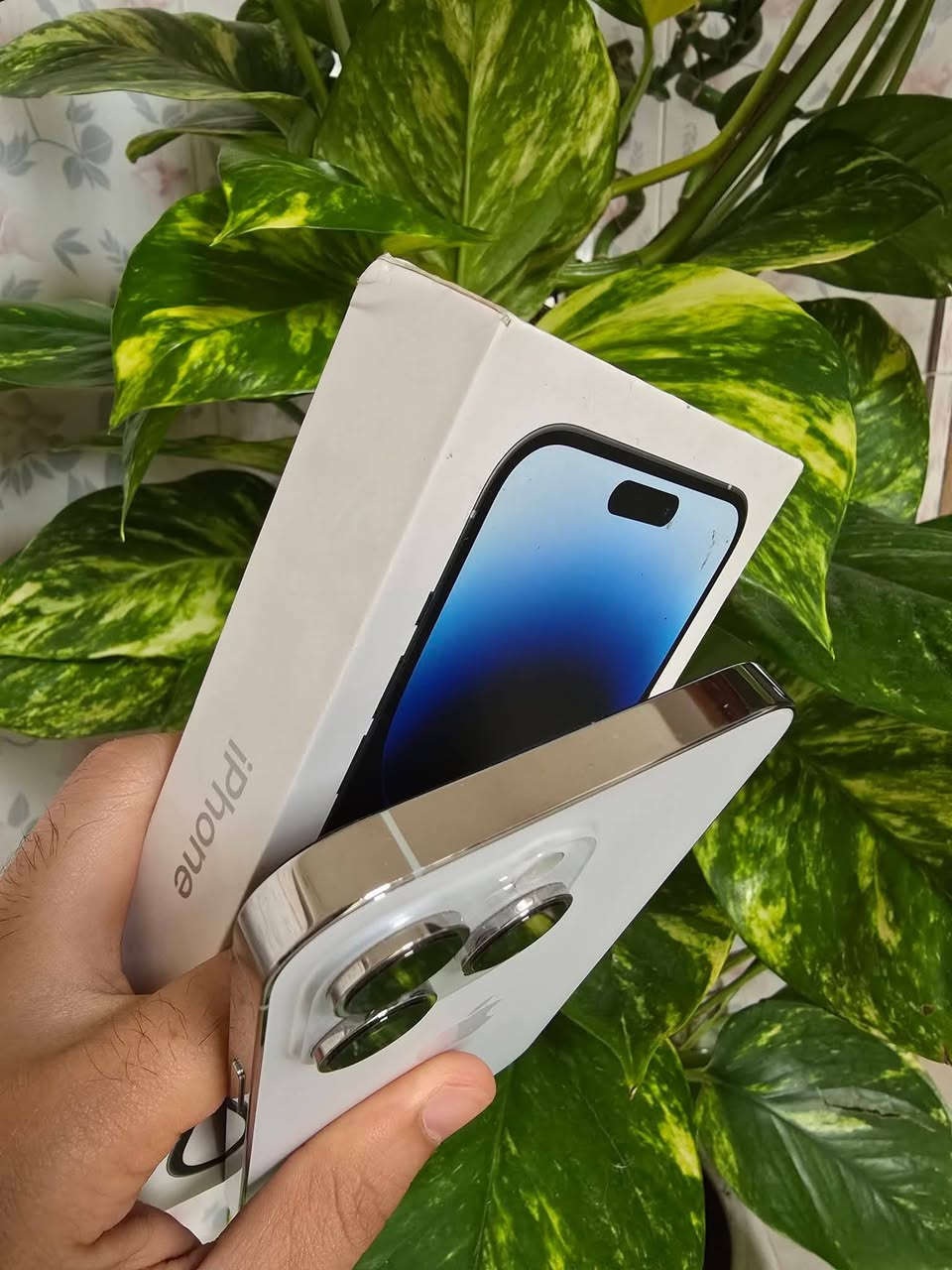 iPhone 14 pro max 
ايفون 14 برو ماكس 
نموذج m شرق اوسط 
ذاكرة  128 
اللون مميز ابيض 
بطارية 95%  
كامل محلقات جهاز بلادي نضافته فولل


**إذا كنت صاحب هذا الإعلان وتريد حذفه لأي سبب، رجاءا أرسل رسالة إلى الدعم الفني**