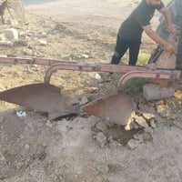 فدان ثلاثي • يصير رباعي • واسط النعمانيه