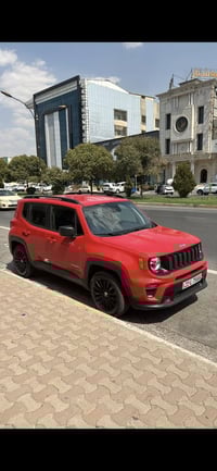 رينيجيد • ٢٠٢١ • كفالة صبغ