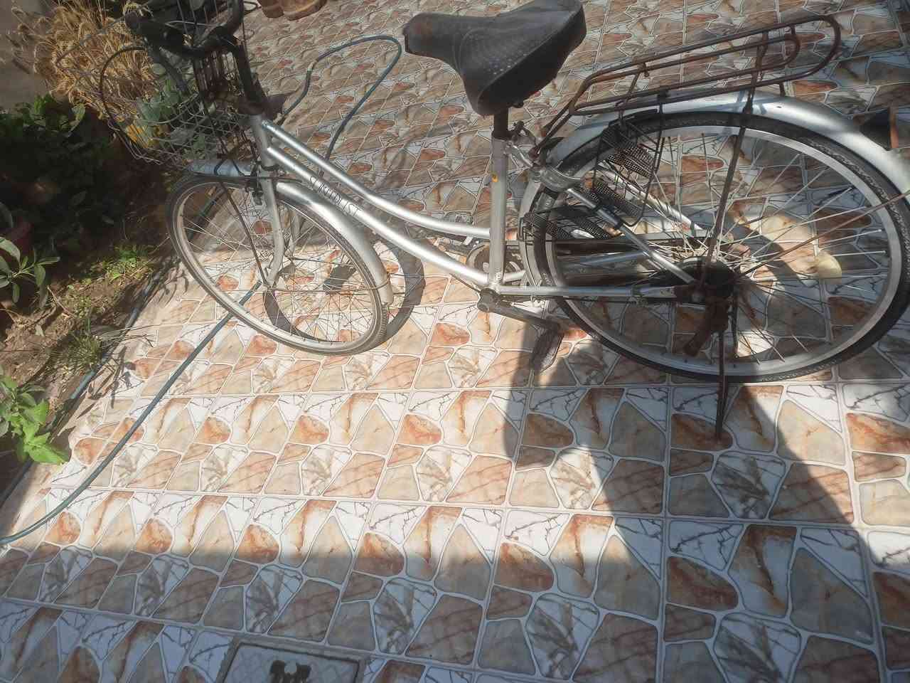 سلام عليكم بايسكل للبيع حجم 26 مكاني ديوانية سعر 60 للتواصل خاص


**إذا كنت صاحب هذا الإعلان وتريد حذفه لأي سبب، رجاءا أرسل رسالة إلى الدعم الفني**