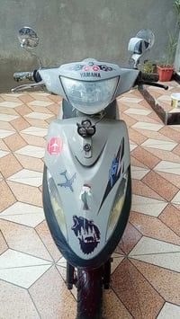 ماكس • نضيفه • جزيرة شط العرب