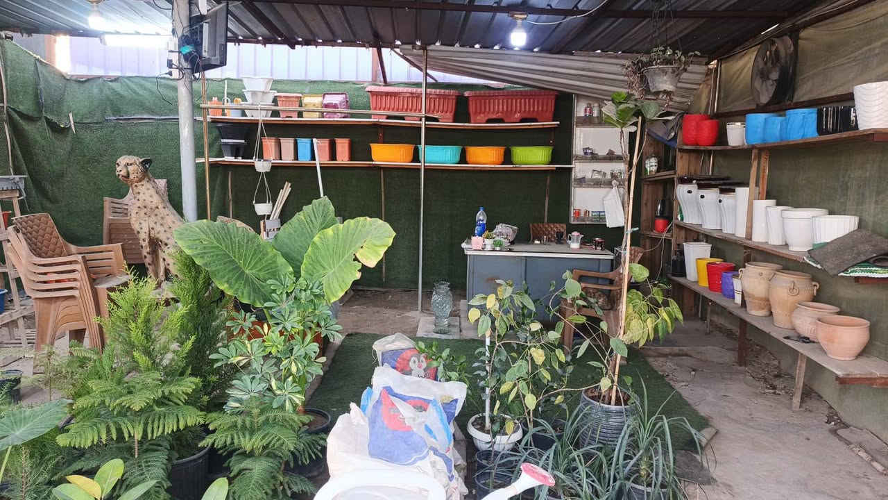 السلام عليكم مشتل للبيع و دفئية زراعية المساحة100متر ٤ برادات ٣ دفئيات  ايجارة ٥٠٠ عنوانه الغزالية الشارع العام للاستفسار أكثر *********** فقط واتساب
