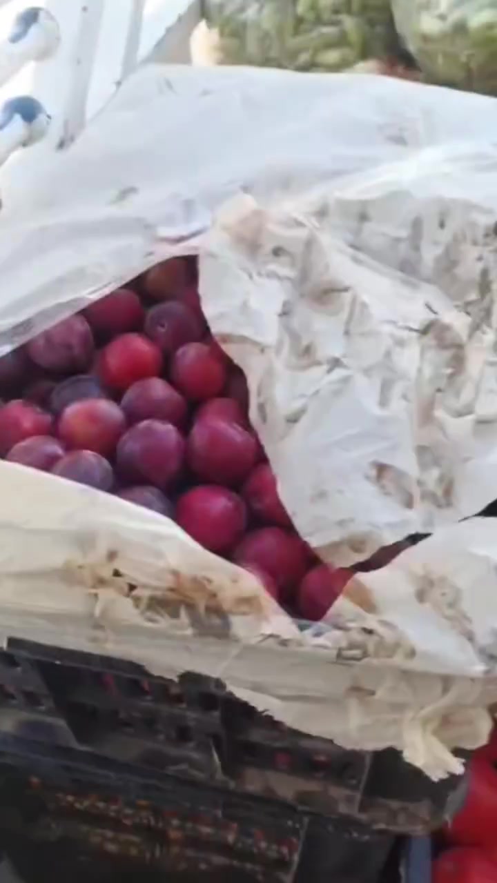 السلام عليكم تاريخ اليوم ٢٤، ٦ اسعار بلاش بتيته ٥٠٠ خيار بصل أسود لهانه شجر عل ٣ب٢٠٠٠ موز ١٥٠٠ عنب ١٢٥٠ تفاح ١٠٠٠ اخوكم ابومؤمل زاغه


**إذا كنت صاحب هذا الإعلان وتريد حذفه لأي سبب، رجاءا أرسل رسالة إلى الدعم الفني**