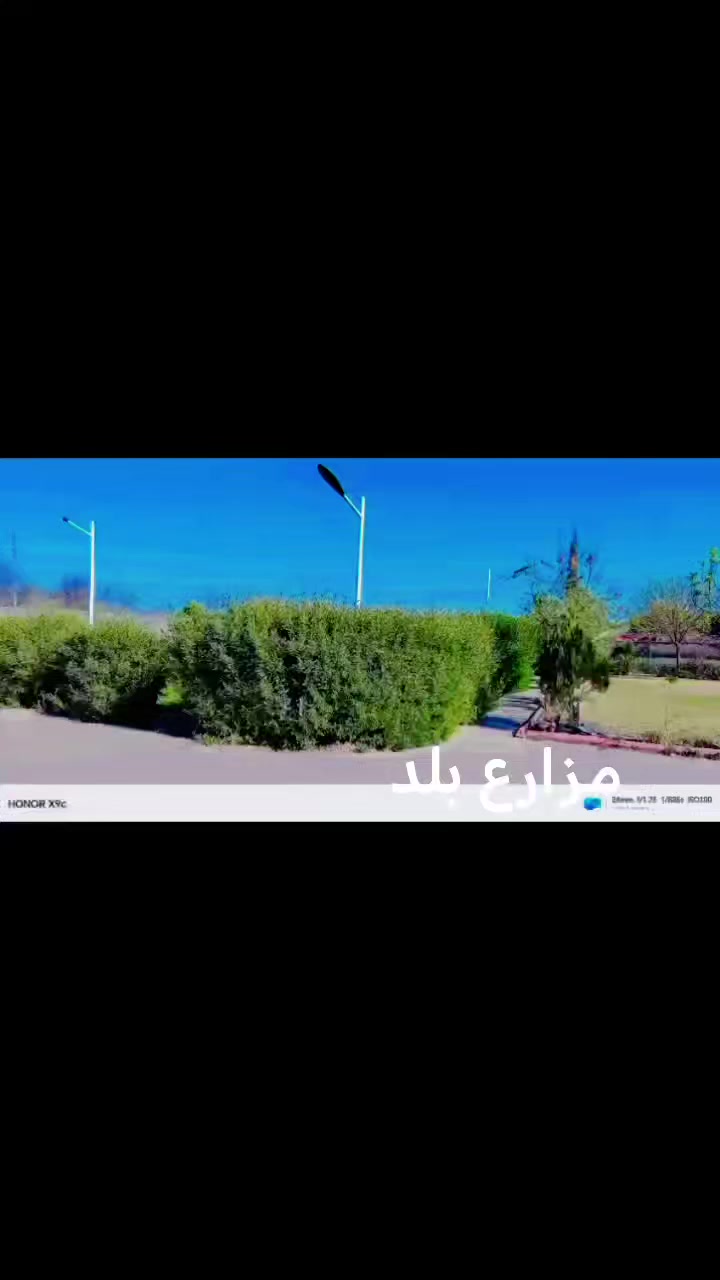 🌸 نعمل داخل بلد🫶
🌸زراعة الثيل 
🌸زراعة الاشجار 🌱🌲
🌸زراعة الورود وجميع نباتات
🌸قص الثيل وتحديدة  وترتيبها

العنوان قضاء بلد صلاح الدين ***********
نصير ابو الذهب عذرنه من التقصير حبيبي
