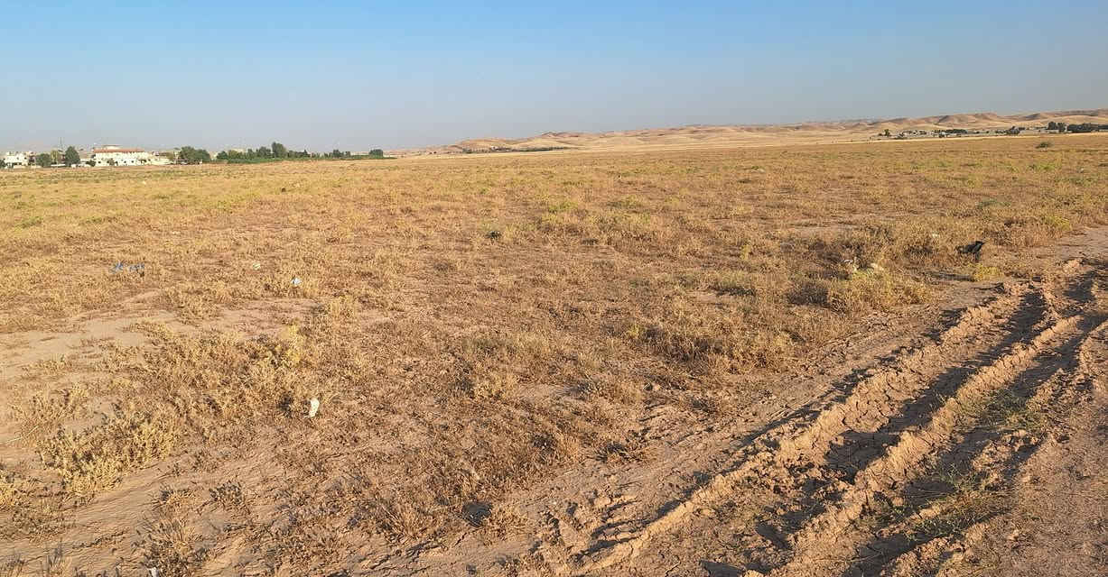 نصف قطعة طابو صرف مساحة ١٢٥م حي الموظفين( توزيع شهداء وجرحى ) يبعد عن اعدادية الاخاء ومتوسطة 50م ( السعر14) نقد او قسط  ***********

