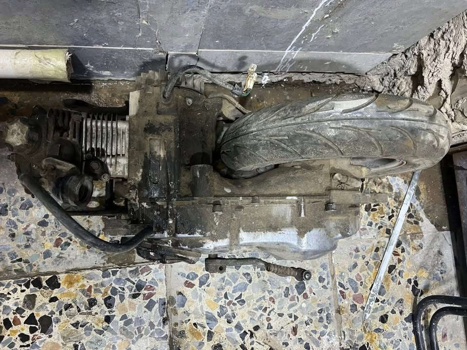 مكينة فراشة ١٤٠
مكينة جاهزة وشرط النشاط والشغل مبدلة بوشة وبستم فقط 
تريدهة طابوكة تريدهة كاملة 
....
وشاصي وظفيرة وستيرن وماشة وتانكي فراشة ام شوارب 
تواصل واتس اب ***********
مكان بغداد توصيل موجود

