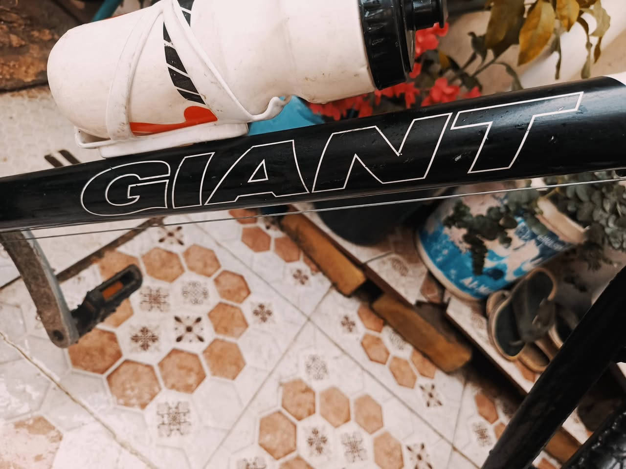 سلام عليكم بايسكل النوعيه c700 ماركه  GlANT  بايسكل نضيف كامل  اي مشكلة مابي المعدن المنيوم  النمر الامامي 3نمر الخلفي 6 بايسكل حلو يتحمل مسافات بعيده ماركه عالميه السعر 90 وبي مجال *********** واتساب
