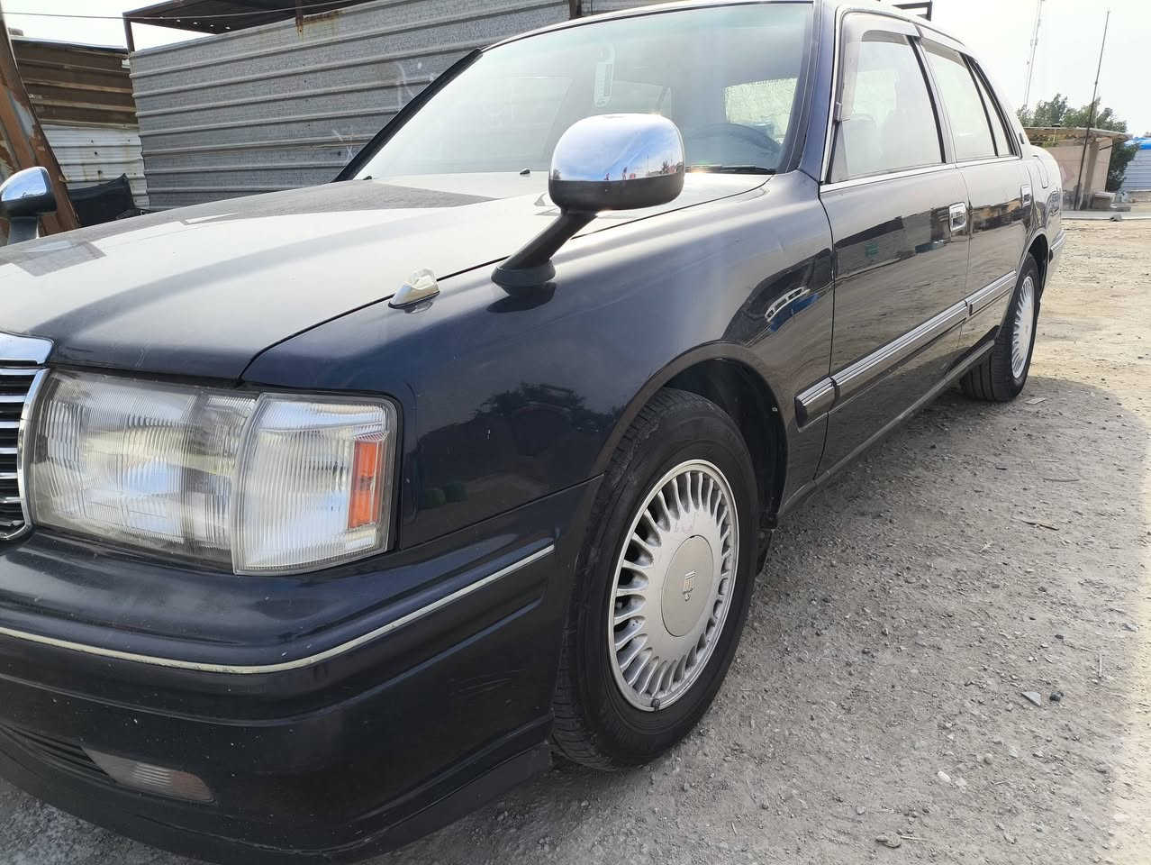 رأس ثور مكفوله من العيب الشرعي رقم بصرة جاهزة السعر 100 للاستفسار ***********
