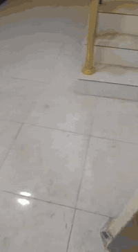 السلام عليكم بيت ايجار في مجمع الرواد شارع زين العابدين مجمع علي شبيب تفاصيل بيت بي غرفتين ودوانيه ومطبخ وصحيات ايجار بيت دفع شهرين لو 3 الكدام ***********
