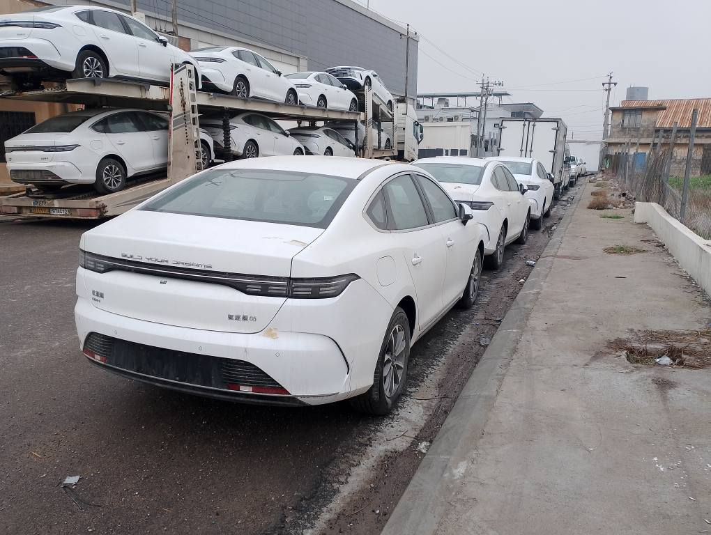 BYD DESTROY 🔥 2025🔥
0KM
ديستروي 2025
سفر كيلومتر
ويل كروم _ناو زةرد
كارت و بصمة 
هةموو شتي خۆی بیلاد لەگەلە
شوين هةولير 
بو سعر پةيوةندي بكة
***********_*********** أربيل, العراق
