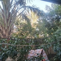 منطقة الكاطون • ٣٠٠م • مقابل محطة ابو حيدر