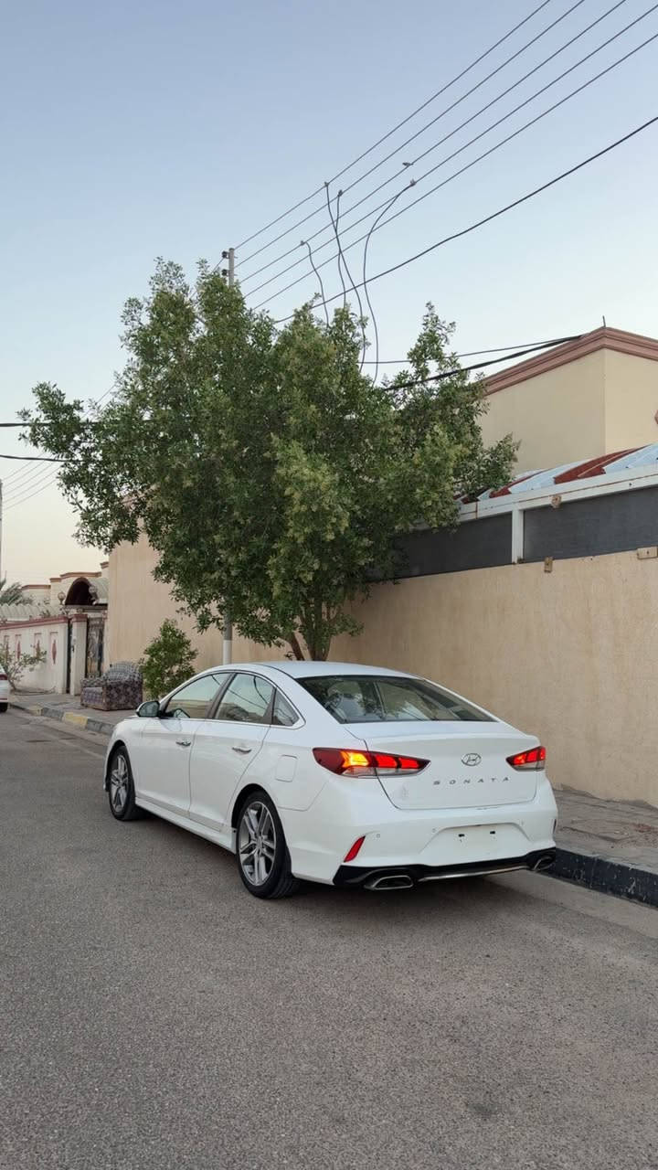 للبيع فقط 
سوناتا ٢٠١٩ خليجي 
كفاله عدى جاملغ صبغ فقط بدون ضربه قويه 
رقم بغداد جاهزة للتحويل 

ماشيه ١٤٤ الف كيلو 

فول عده الفتحه 
كشنات جلد 
مري شفط
ويل ١٨
تبريد قطعتين ثلج
بصمه تشغيل
دخول ذكير
اناره ترحيب 
كشن كهرباء 
عداد ٢٦٠ 
مكينه ٢٤٠٠ دوش كفاله 
حساس امامي خلفي 
مودات قياده
شاشه بلاد
تحكم ستيرن جهتين
بعد بيها  موصفات ماعرفهن 😂
السعر ١٦٣
***********
سياره جديده ما تتقارن بل مهجومات البصرة, العراق
