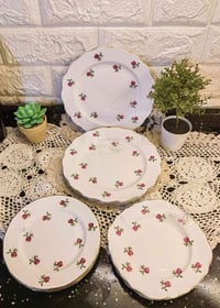 صحون انكليزي • ٥ قطع ٢٠سم • ٣ قطع ١٦سم