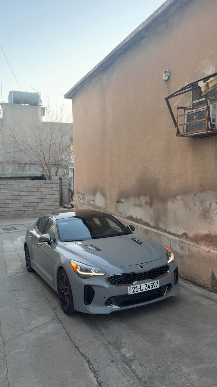 بۆ فرۆشتن یان گۆڕینەوە بە (چالنجەر)( ٢٠١٨ )بەرەو سەر کیا ستینگەر (جی تی ٢)(٢٠١٨) (٦ پستۆن - تووین تۆربۆ)

ناو سوور
پانۆراما
سەماعە هەرمانکاردۆن
ڕادار
خەتی جادە
دەبڵ ئەکسل
چەمەلەغی لای سایەق و نیو بۆنیت بۆیاخە
بێ ناو گرتن 
ئێرباک / بەس سووکان تەقیوەو سیستم کراوەتەوە
کامل سێرڤس کراوە لە ڤۆڵترۆنیک 
تەنیا ٢٠٠$ مەسرەفی تیایە (پێش داگرتنێکی ئەوێت)

١٧٨$ و معامەلەیەکی برایانە
0770 449 8007 السليمانية, العراق
