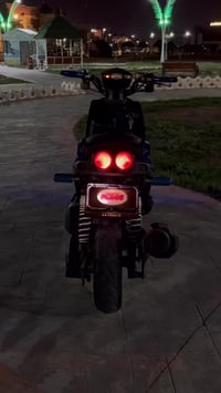 سكنس جبلي • ختم واحد • بلاديه