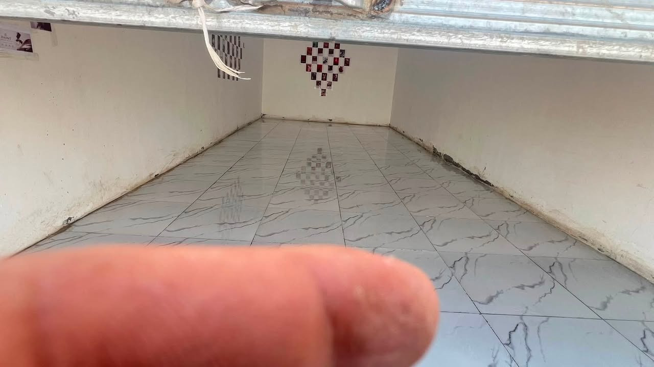 محل للإيجار 

العنوان ناصريه السريع الفداء

لتواصل الخاص مفتوح او الاتصال ‭***********‬
