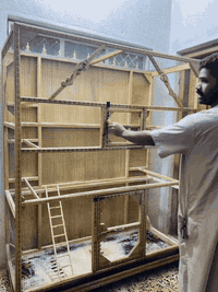 قفص • خشب بلوك • بعقوبة التحرير