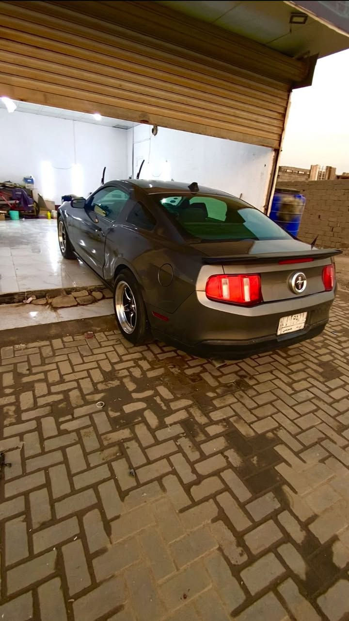 سلام عليكم موستنك v6مديل 12مصبوغه حزام كير محرك كفاله حداده جديده كامله دواخل نضيف كلش سياره جاهزه من كلشي سنويه ل 26اليف صاحبه بلبصره وياله جدد تايرات جدد سياره كلشي ع لبلاد سعر 78
لاستفسار  ***********
